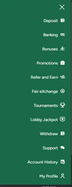 Promotions Section